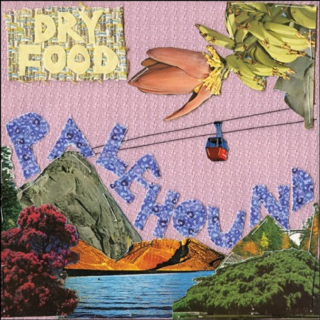 Molly cover art