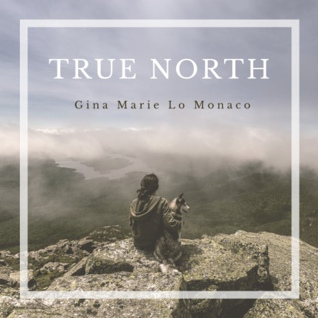 True North