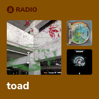 toad Radio