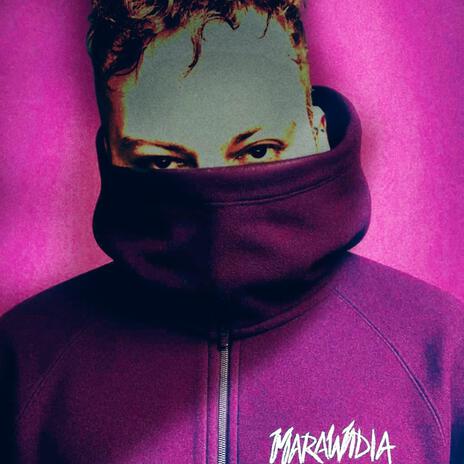 Asche im Nebel cover art