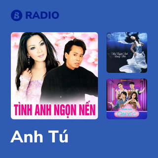 Anh Tú Radio