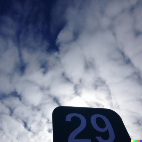 twentynine cover art