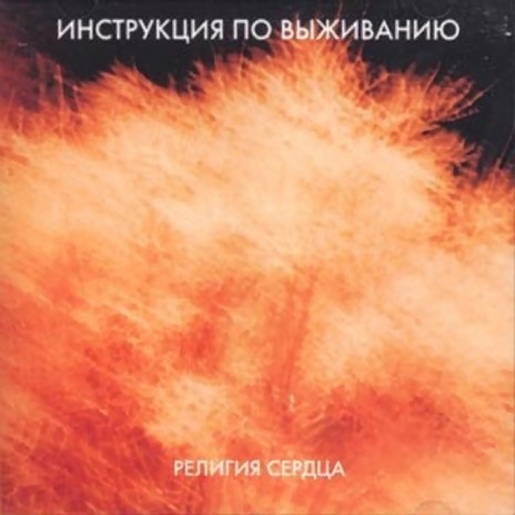 Стая воронов