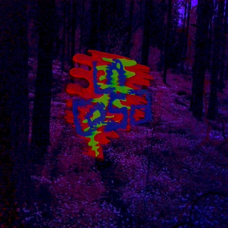 In The Cut cover art