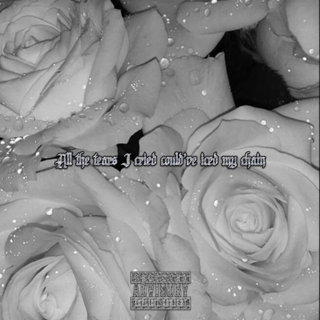 All The Tears I Cried Could've Iced My Chain cover art