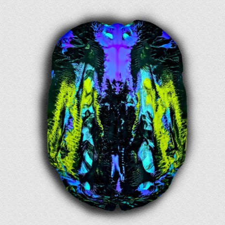 Brain orgasm cover art