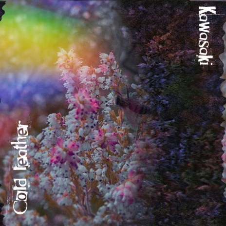 Kawasaki cover art