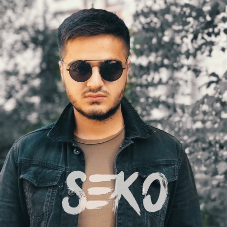Звезда в ночи cover art