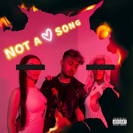 Not a Love Song cover art