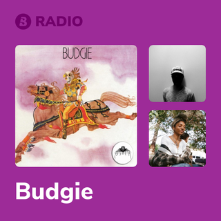 Budgie Radio