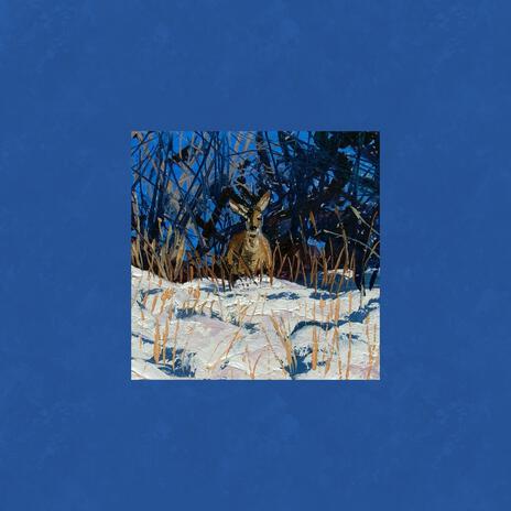 Roses cover art