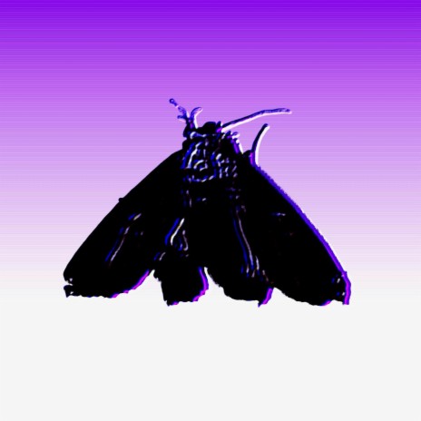 Metal Butterfly cover art