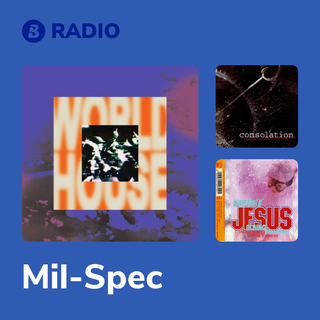 Mil-Spec Radio