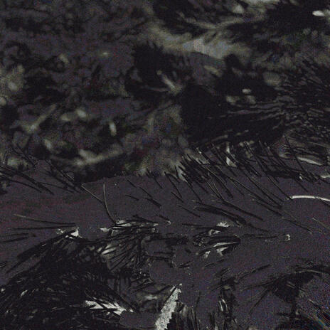 Who puked in the sink? cover art