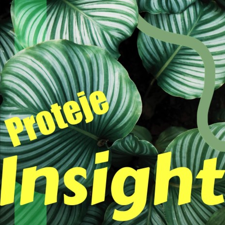 Insight ft. Ron Ducos