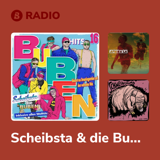 Scheibsta & die Buben Radio
