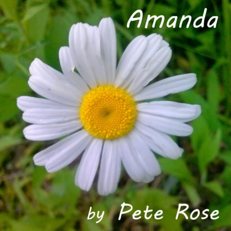Amanda cover art