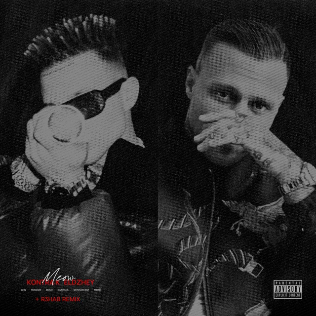 Meow cover art