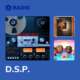 D.S.P. Radio