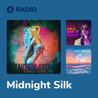 Midnight Silk Radio
