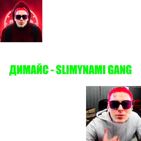 SLIMYNAMI GANG cover art