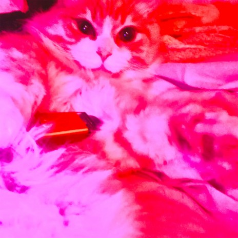 Рав cover art