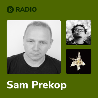 Sam Prekop Radio