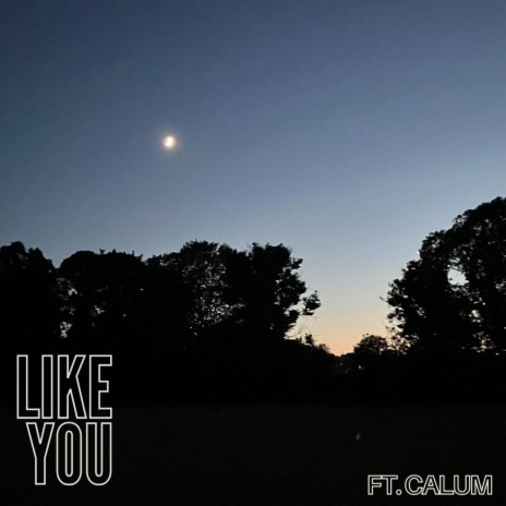 Like You (Instrumental With Hook) cover art