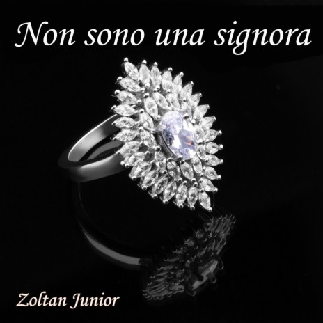 Non sono una signora (Cover) cover art