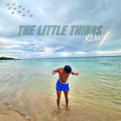 The Little Things cover art