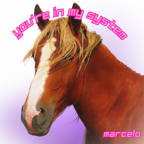 You're in My System cover art