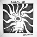 Calactus