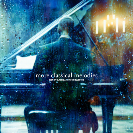 Steady Free cover art