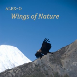 Alex-O