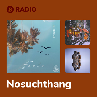 Nosuchthang Radio