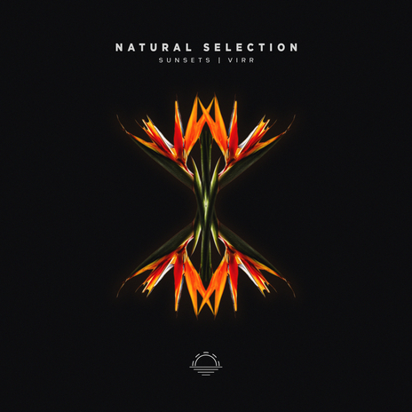 Natural Selection ft. Virr cover art