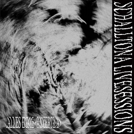 Panzerglas (Schalltona Livesession [Live]) cover art