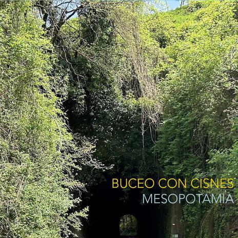 Sin esperanzas cover art