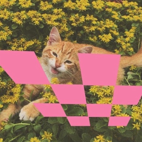 Dios Song cover art