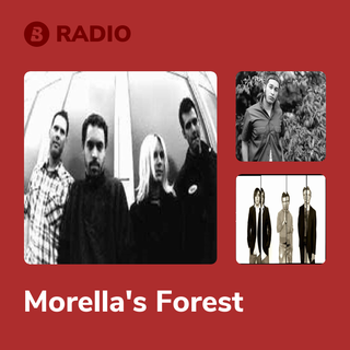 Morella's Forest Radio