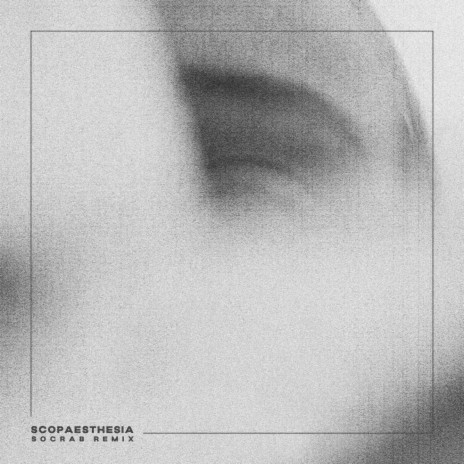 Scopaesthesia ft. Socrab cover art