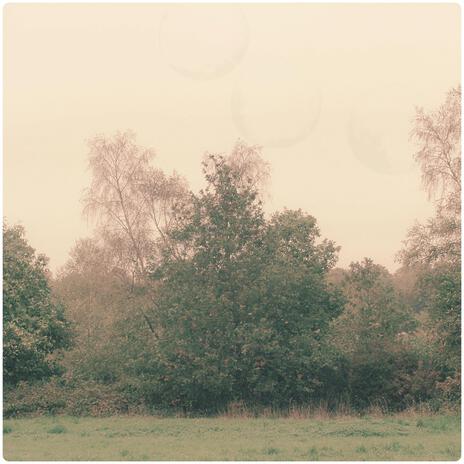 Intro cover art