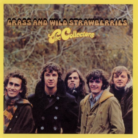 Grass and Wild Strawberries cover art