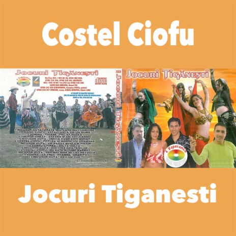 Am Bagat Boala-N Tigan cover art