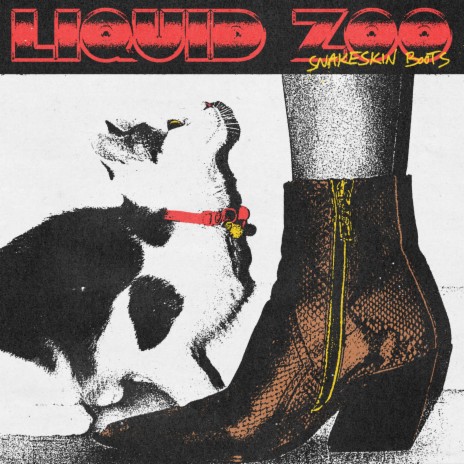 Snakeskin Boots cover art