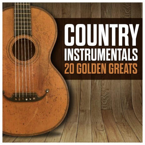 Steel Guitar Rag