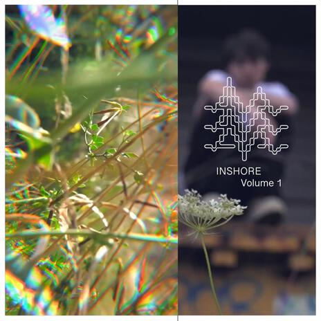 inshore cover art