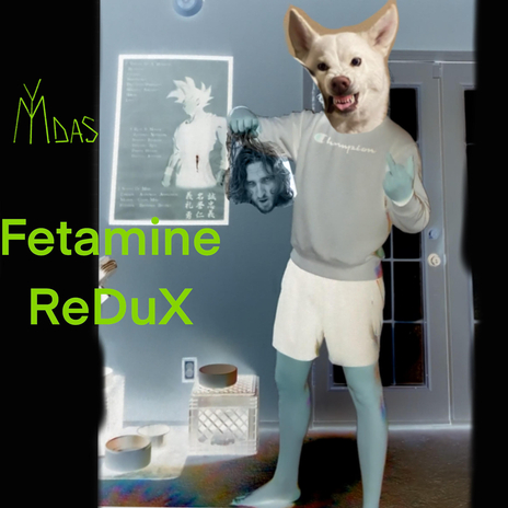 Fetamine ReDuX cover art