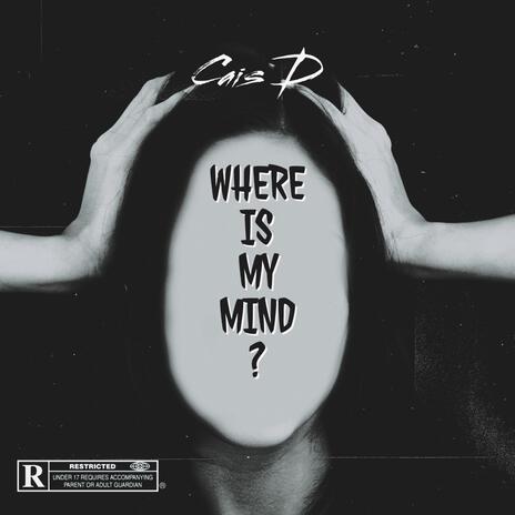 Čas Rozhodne cover art