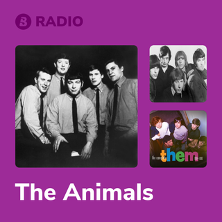 The Animals Radio